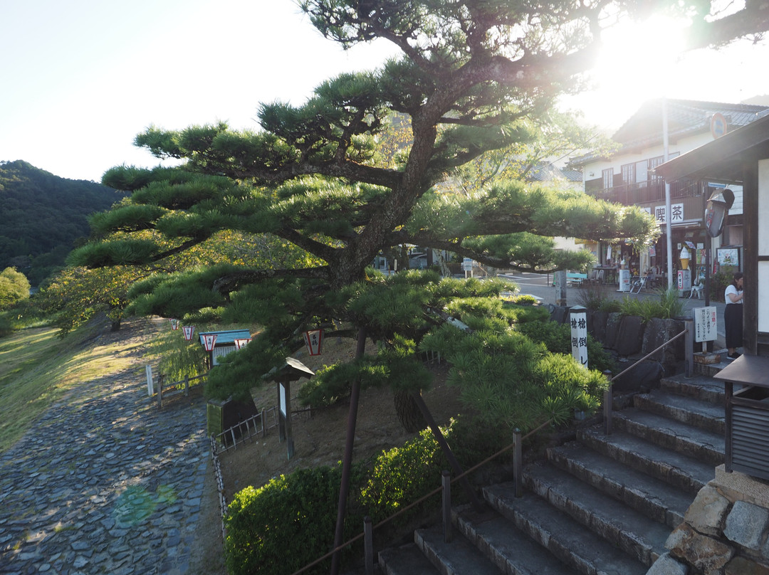 Yari Daoshi Matsu景点图片
