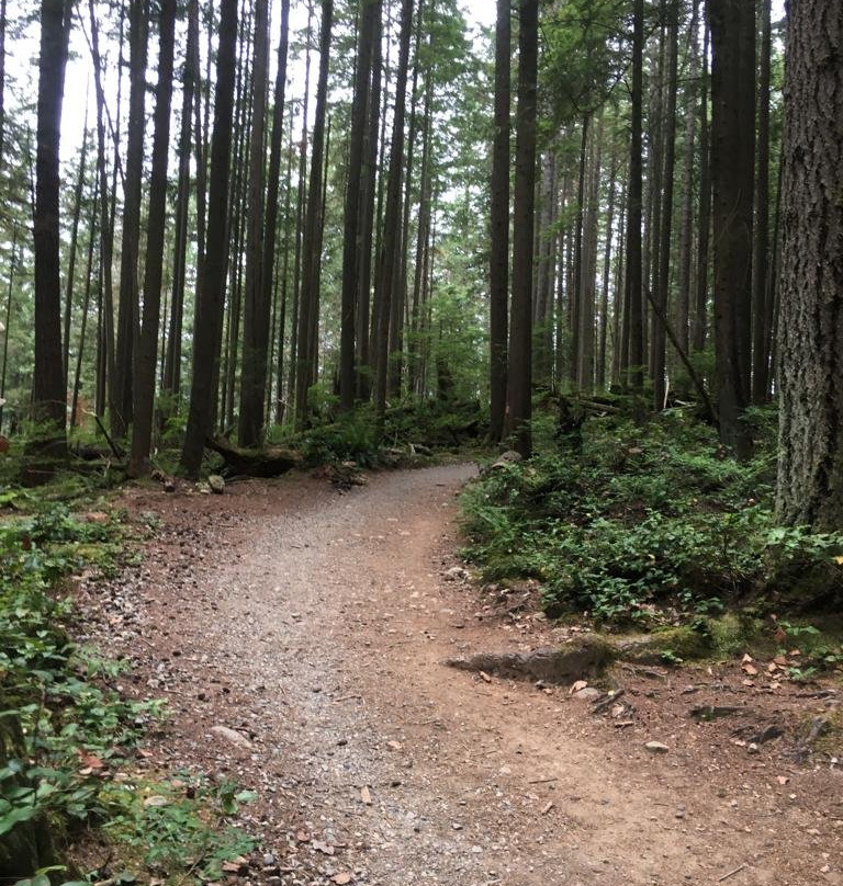 Buntzen Lake-穆迪港必去景点