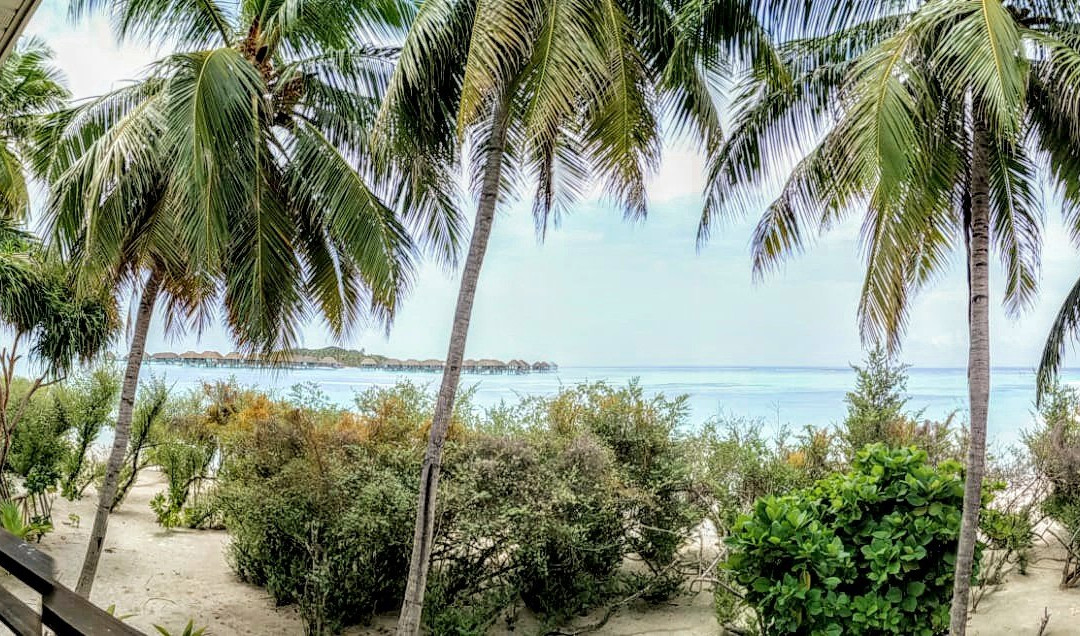 Pearl Sands of Maldives主图