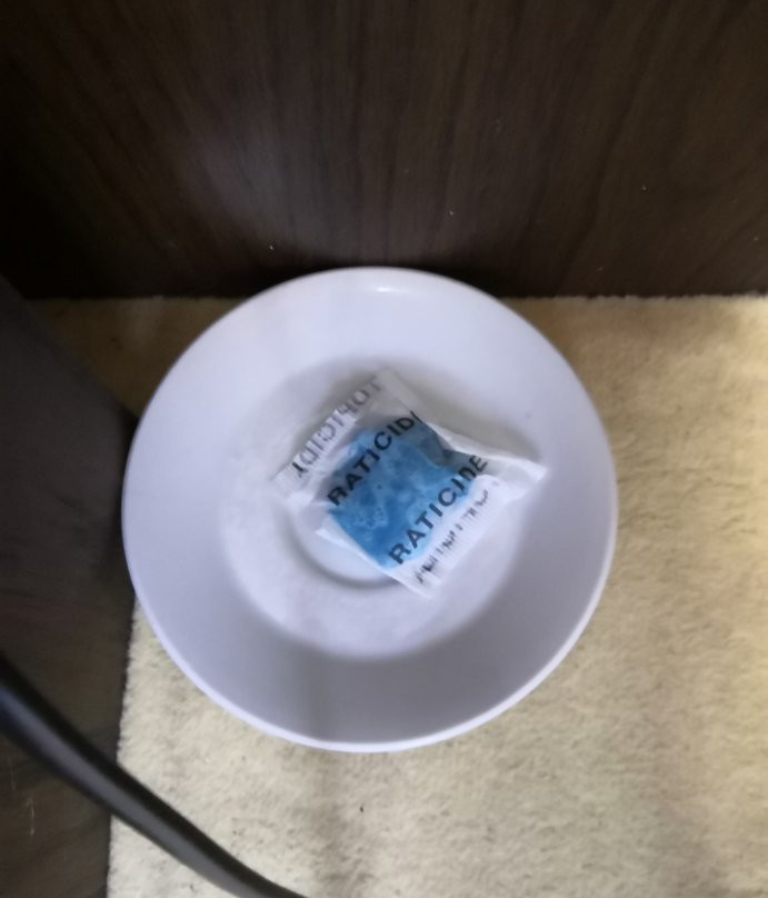 圣彼得迪特里希霍夫酒店主图