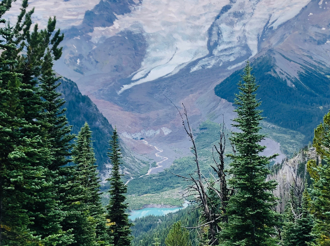 Nature Nuts Adventure Travel-西雅图必去景点