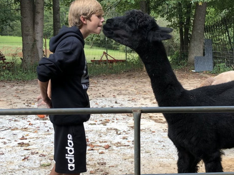 L & R Alpaca Haven Farm-Douglasville必去景点