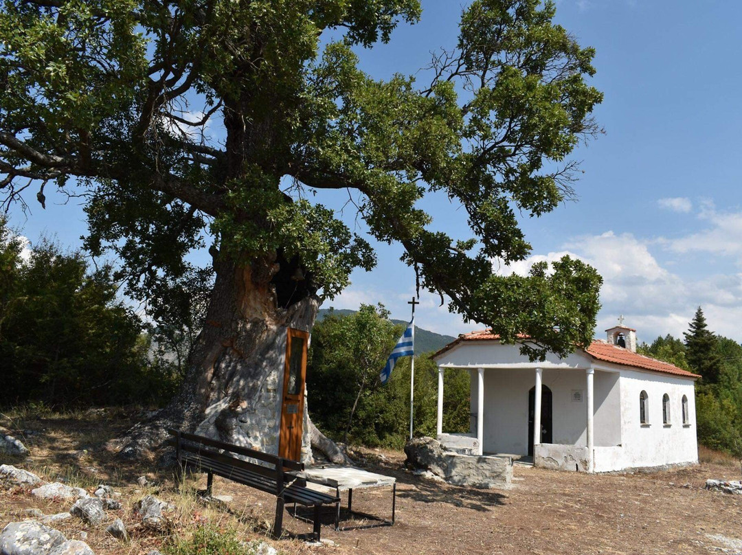 Tree Chapel Saint Paissiou-Agia Varvara必去景点