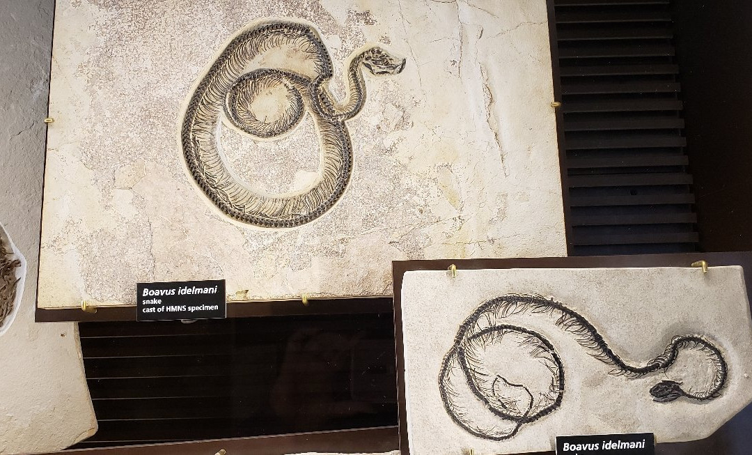 Fossil Butte National Monument-Kemmerer必去景点