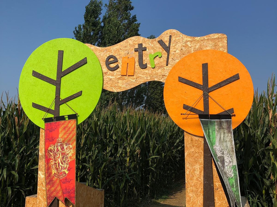 Labirinto di HORT-塞尼加利亚必去景点