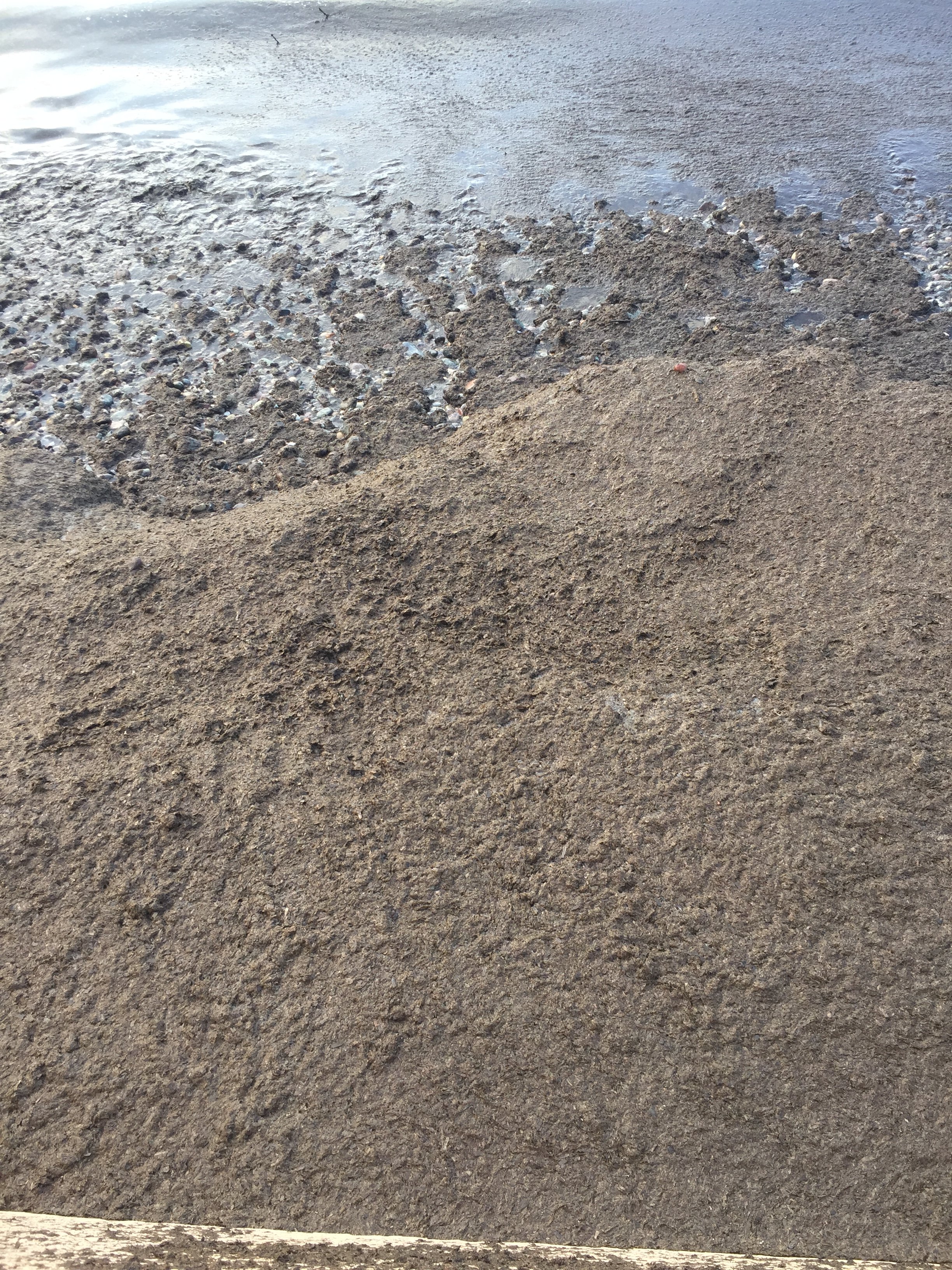 多尔奇诺特酒店-泳池