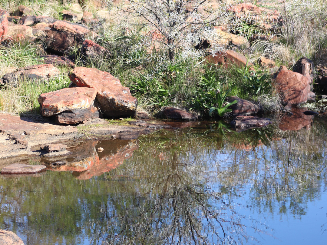 Nieuwoudtville Waterfall-Nieuwoudtville必去景点