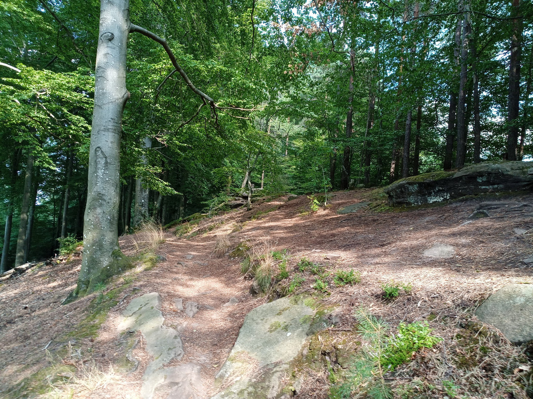 Palzer Weltachs-Hochspeyer必去景点