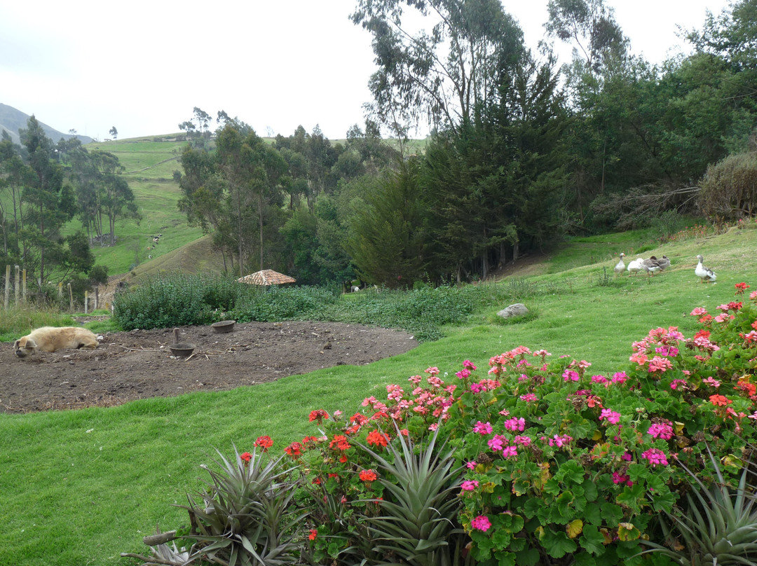 Posada Ingapirca主图