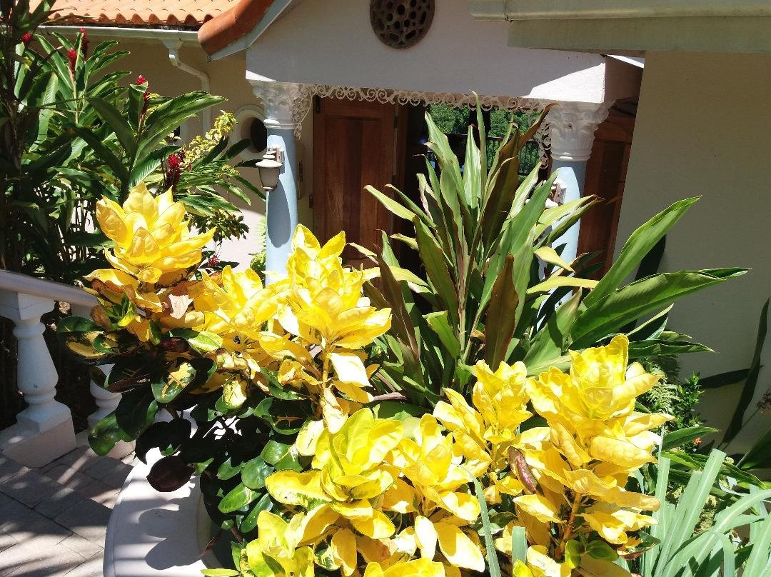 热带潟湖度假村主图