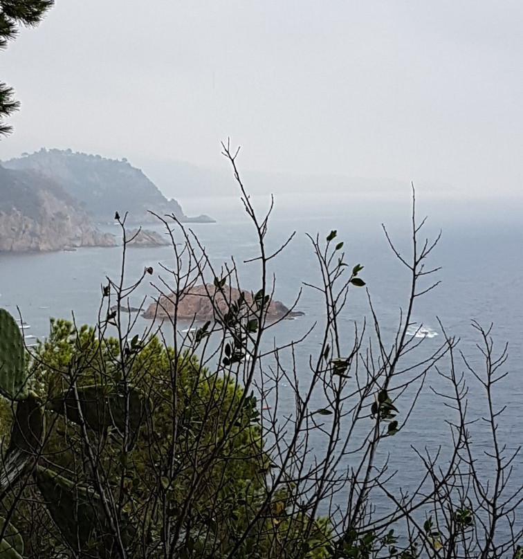 Esglesia Vella de Sant Vicenc景点图片