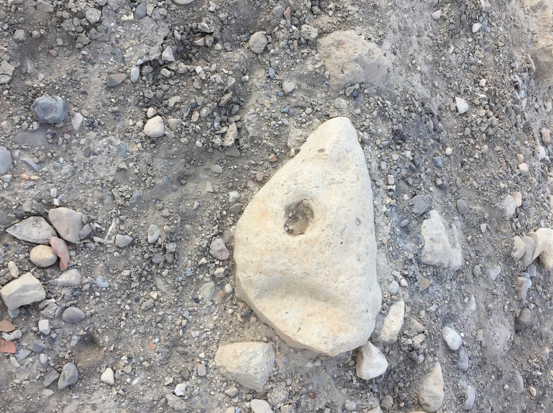 Ein Gedi Synagogue-恩戈地必去景点