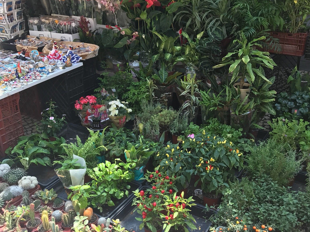 Plaza de Las Flores-加的斯市必去景点