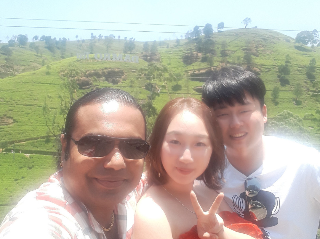 Damro Labookellie Tea Centre and Tea Garden景点图片