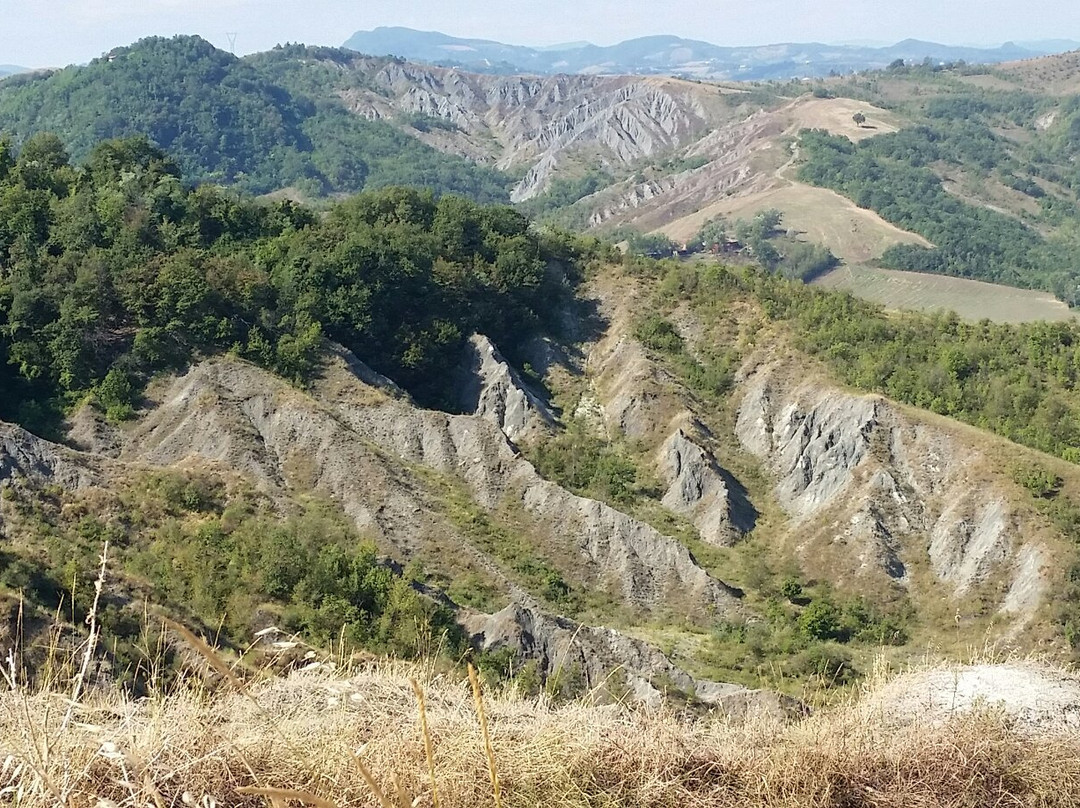 Parco dei Gessi Bolognesi景点图片