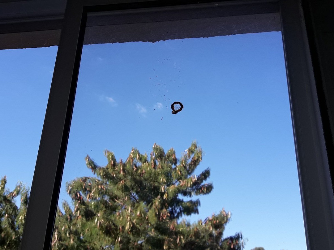 San Marino Residence主图