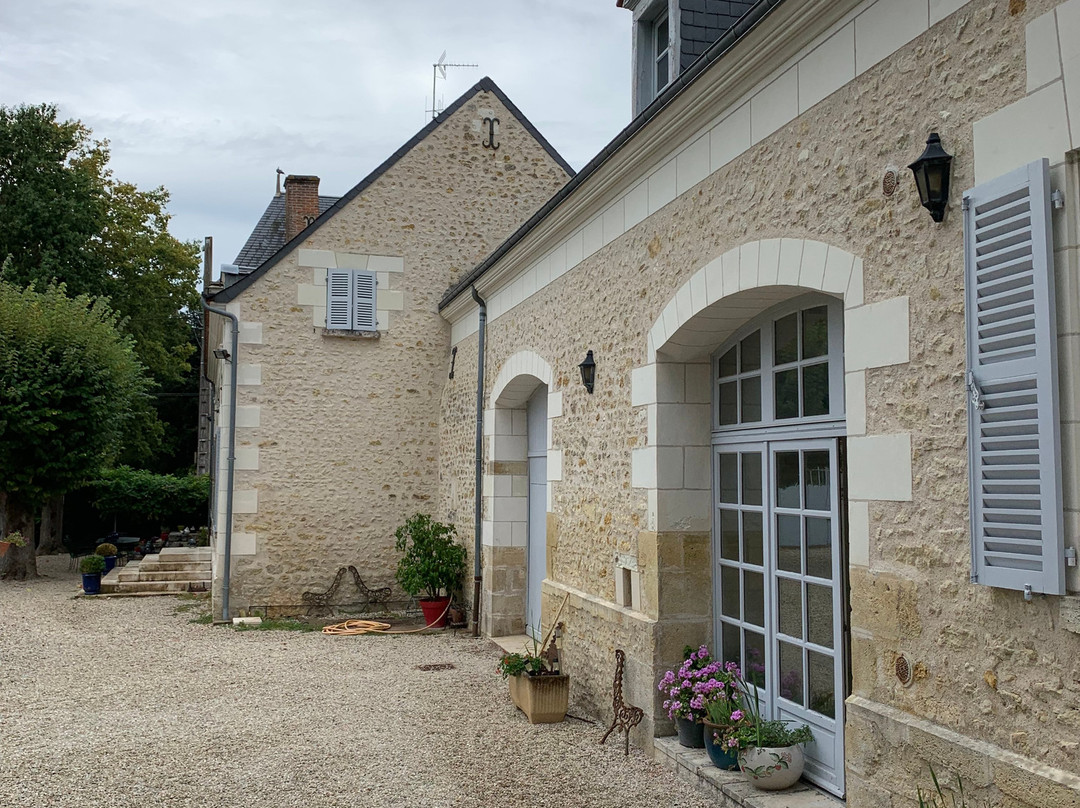 Bella Simonetta主图