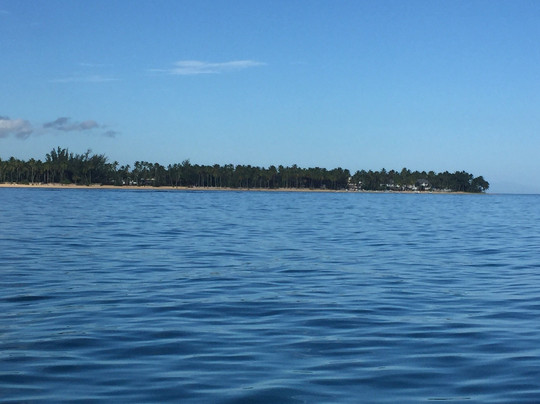 Turtle Dive Center-拉斯特拉纳斯必去景点