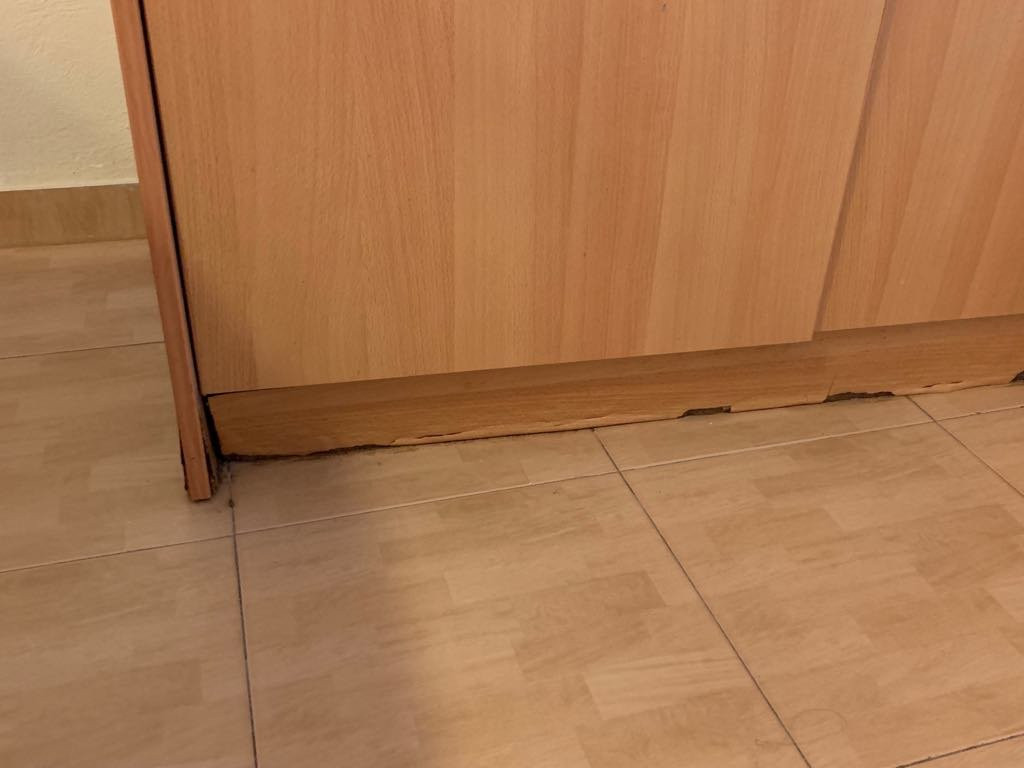 Oikies Small & Elegant主图