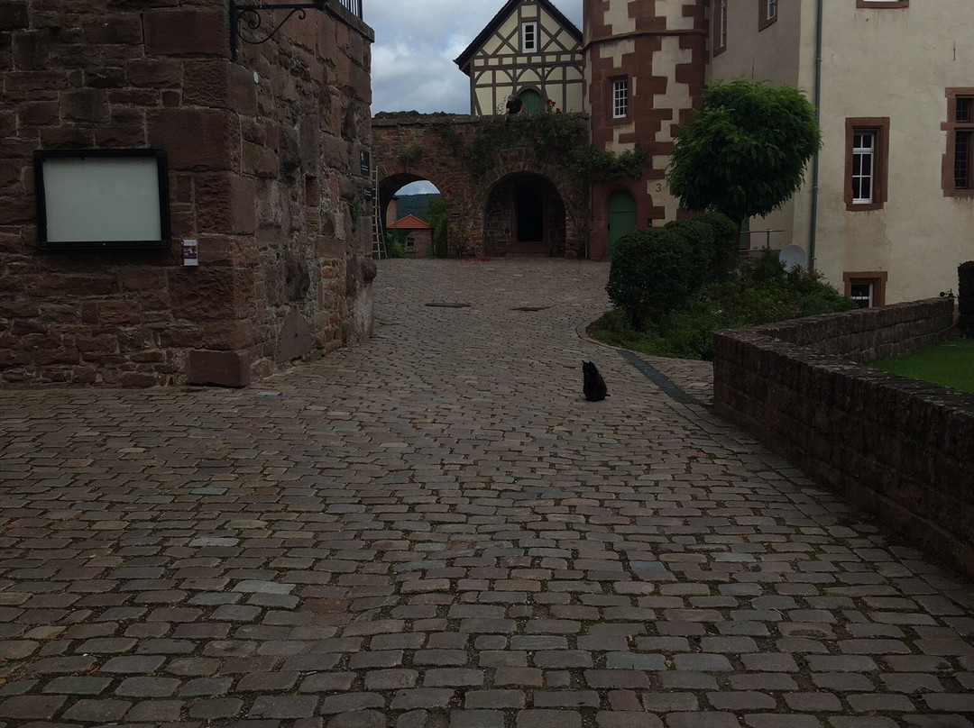Dilsberg Castle Fortress景点图片
