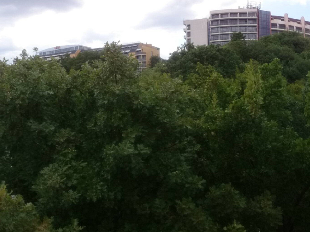 Park Hotel Odessos主图