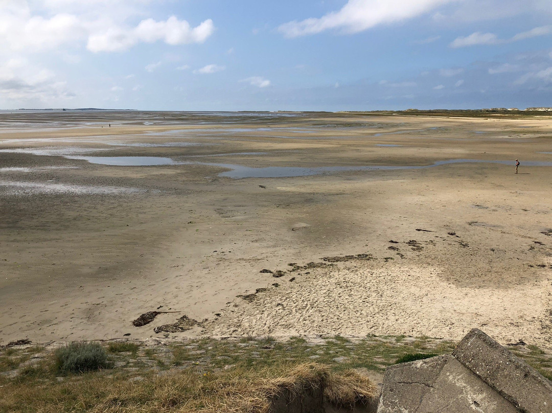 Groene strand-West-Terschelling必去景点