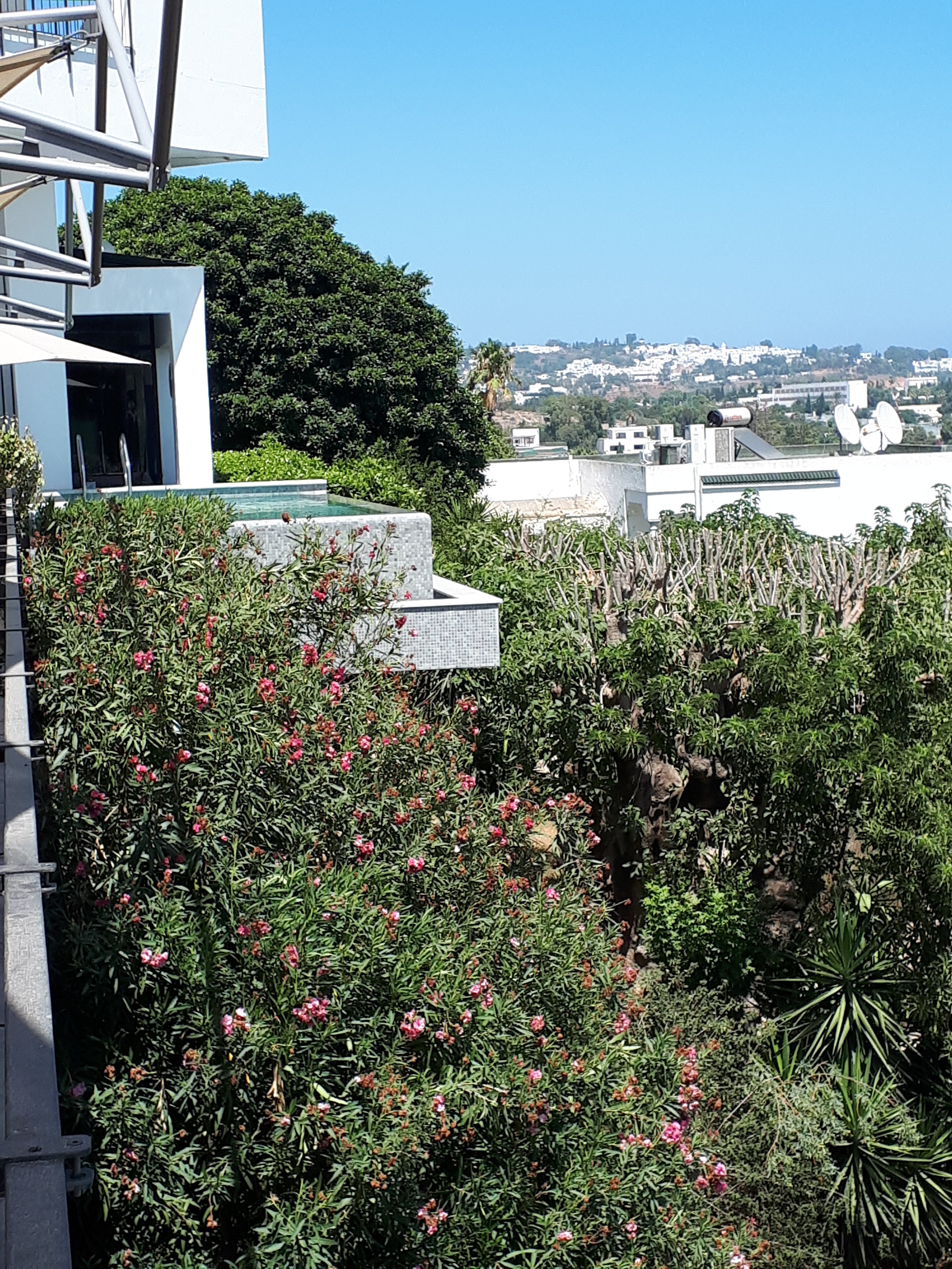 Villa Didon-泳池