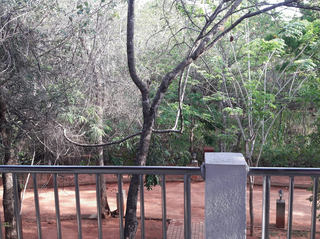 锡吉里亚安亚拉森林酒店主图