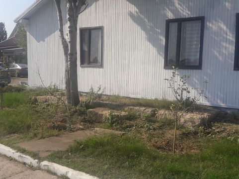 Robinson Hotel主图