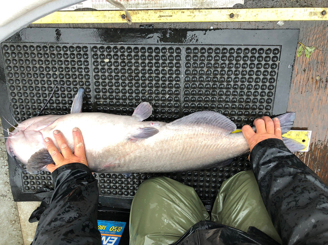 Cat Eye Manitoba Fishing-Selkirk必去景点