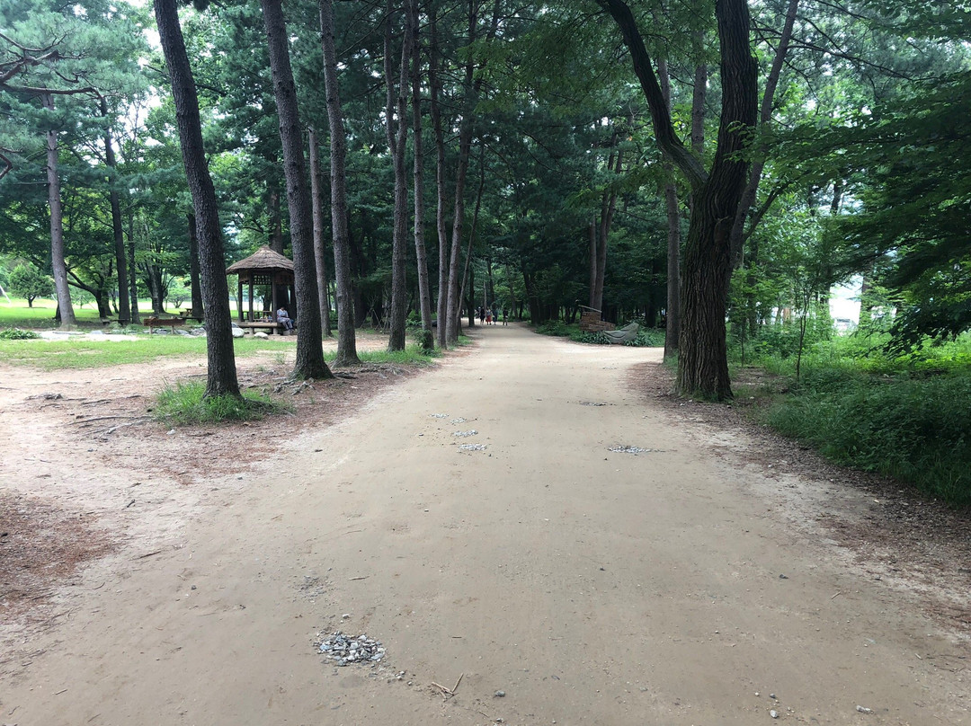 Korea Time Tour-首尔必去景点