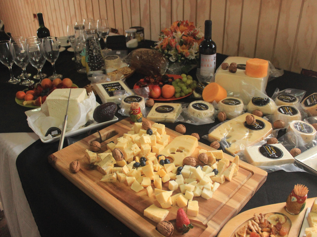 Travel Up Adventure-Los Angeles必去景点