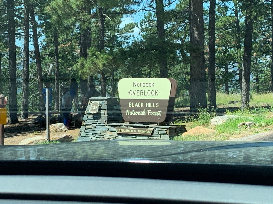 Peter Norbeck Scenic Byway-卡斯特必去景点