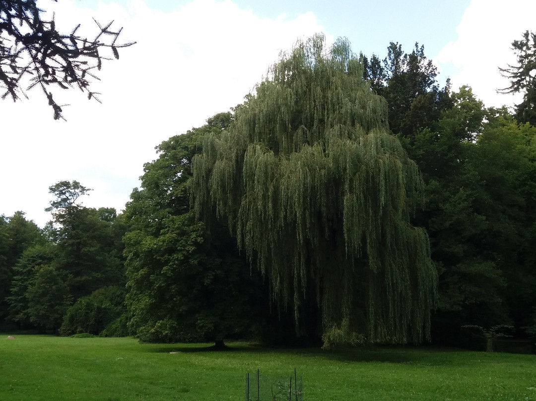 Arboretum Garden景点图片