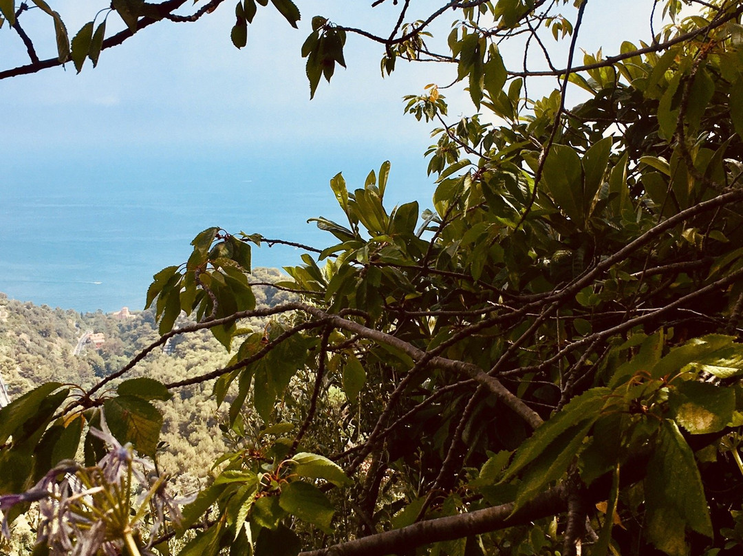 Altoblu Bed & Breakfast主图