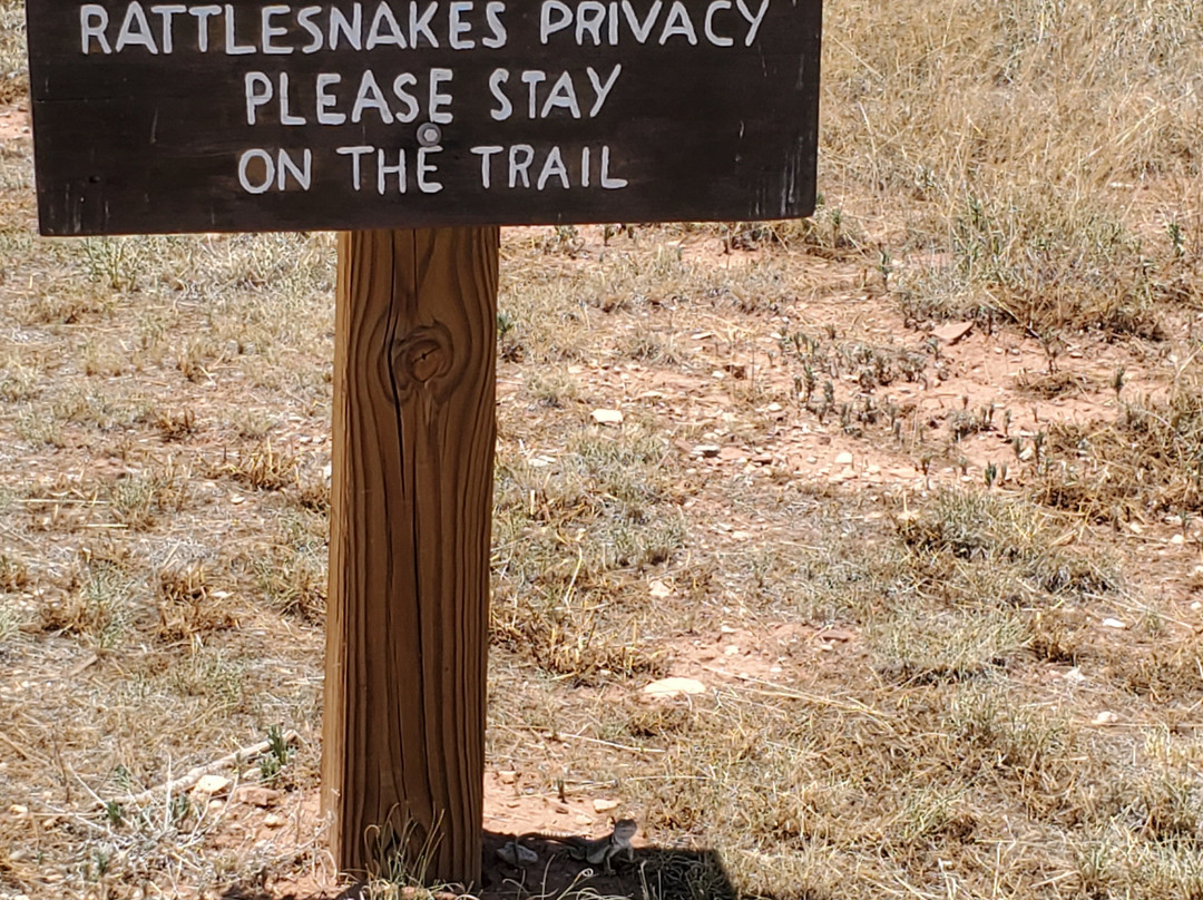 Salinas Pueblo Missions National Monument-Mountainair必去景点