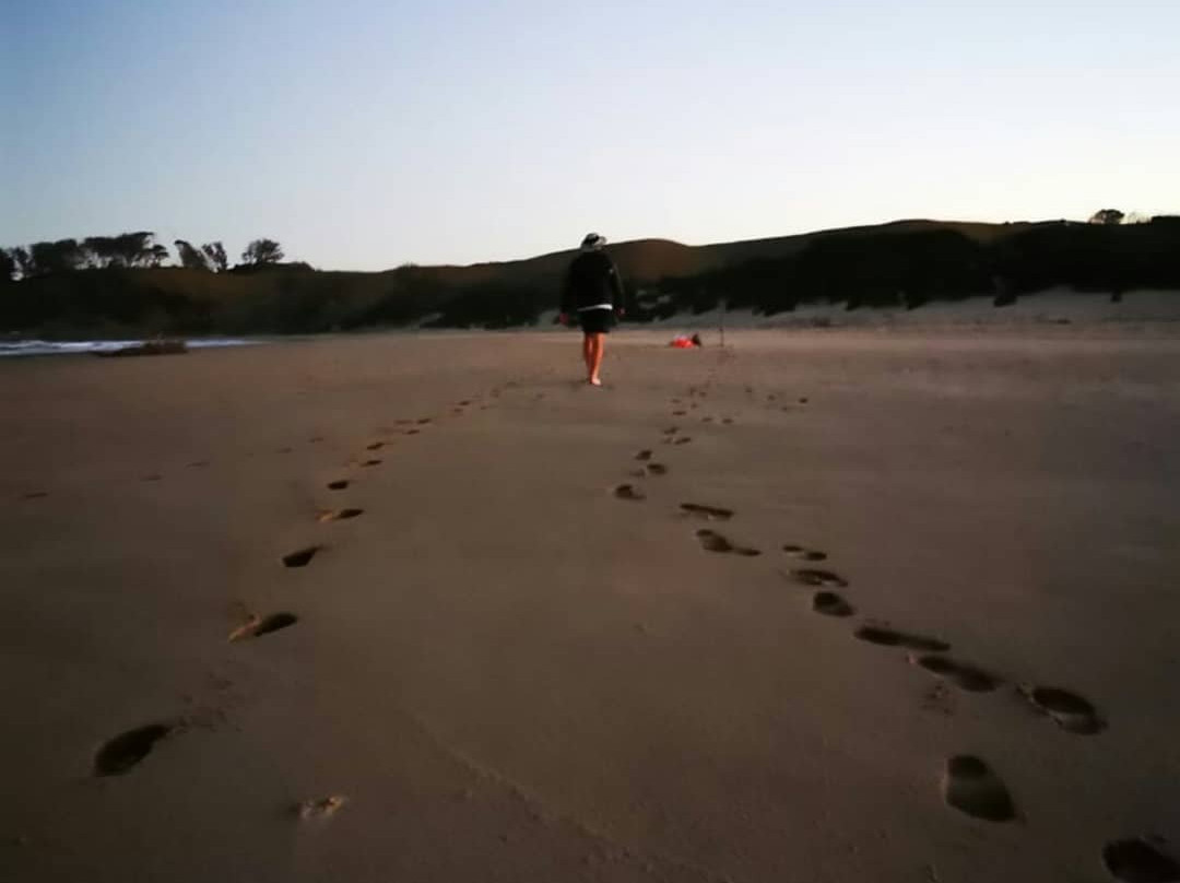 Mdumbi Beach-Mdumbi必去景点