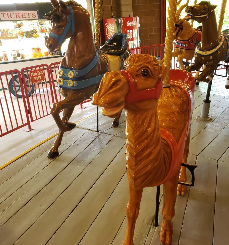 Lakeside Park Carousel-圣凯瑟琳斯必去景点