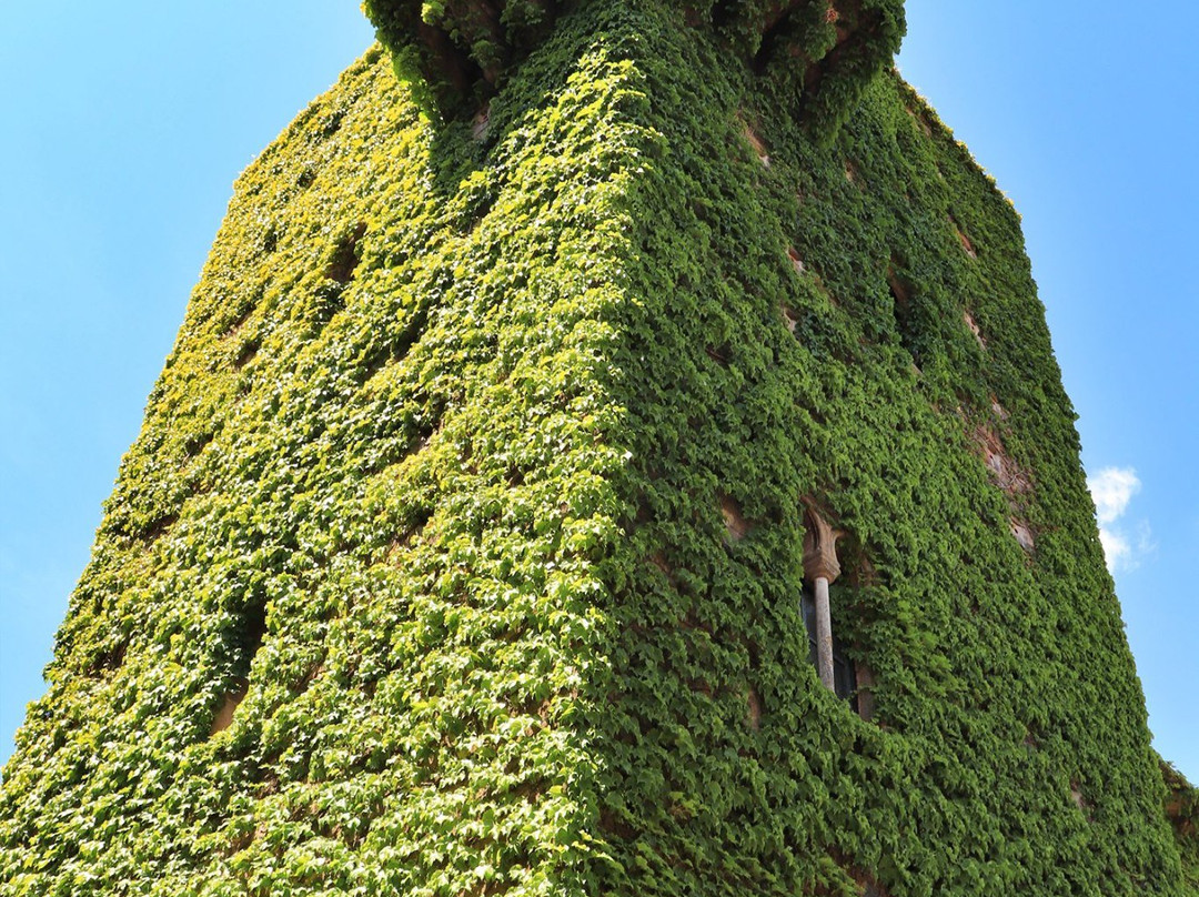 Tower de los Sande景点图片