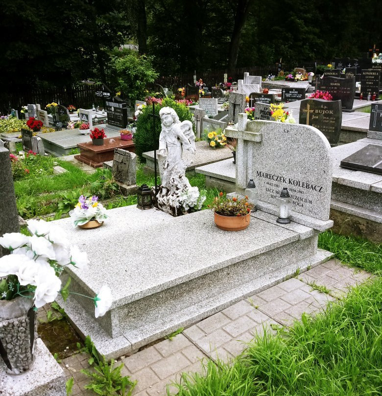 Evangelical Cemetery "On the Groniczku '景点图片