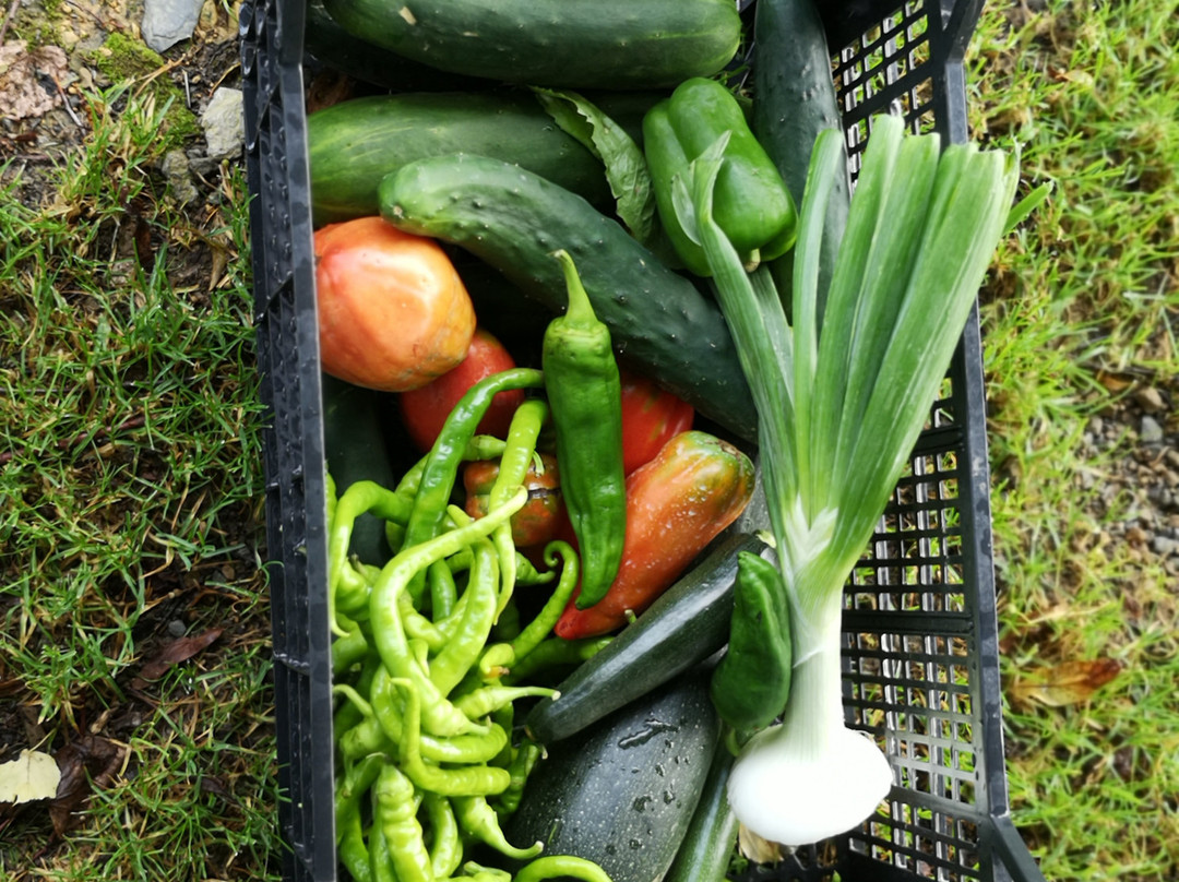 La Ferme Aux Sangliers - Micalet主图