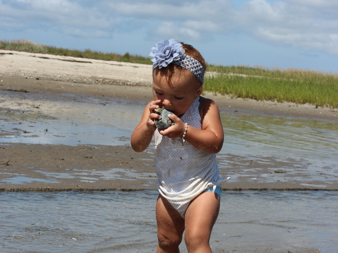 Chatham Boat Tours-查塔姆必去景点