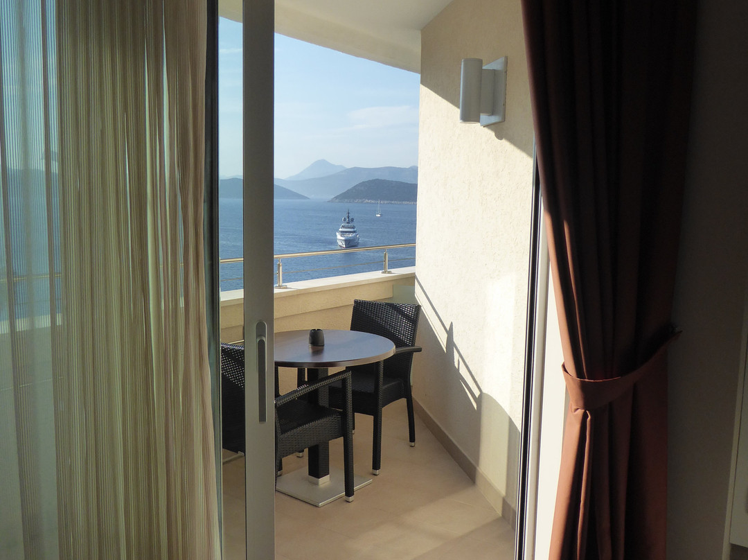 RMH Lopud Lafodia主图