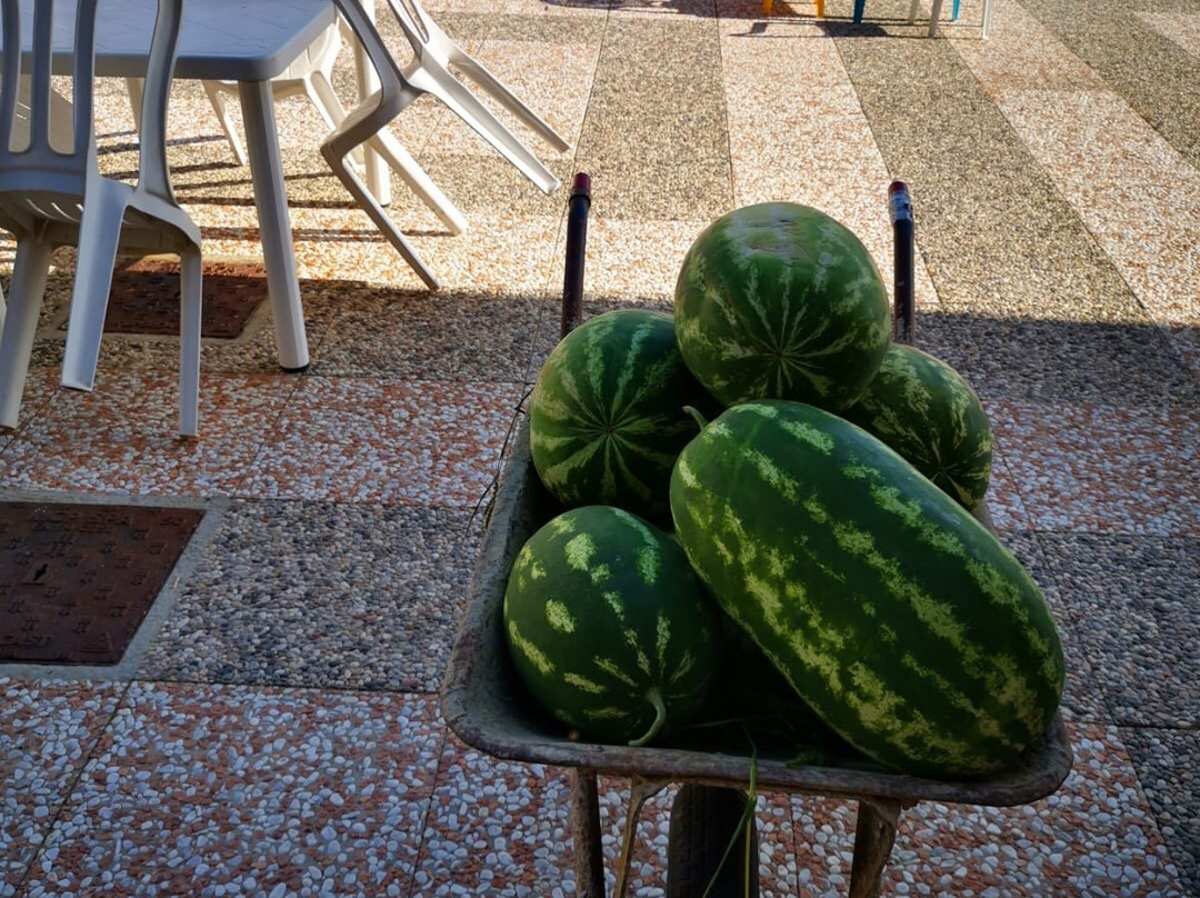 B&B Masseria le Querciole主图