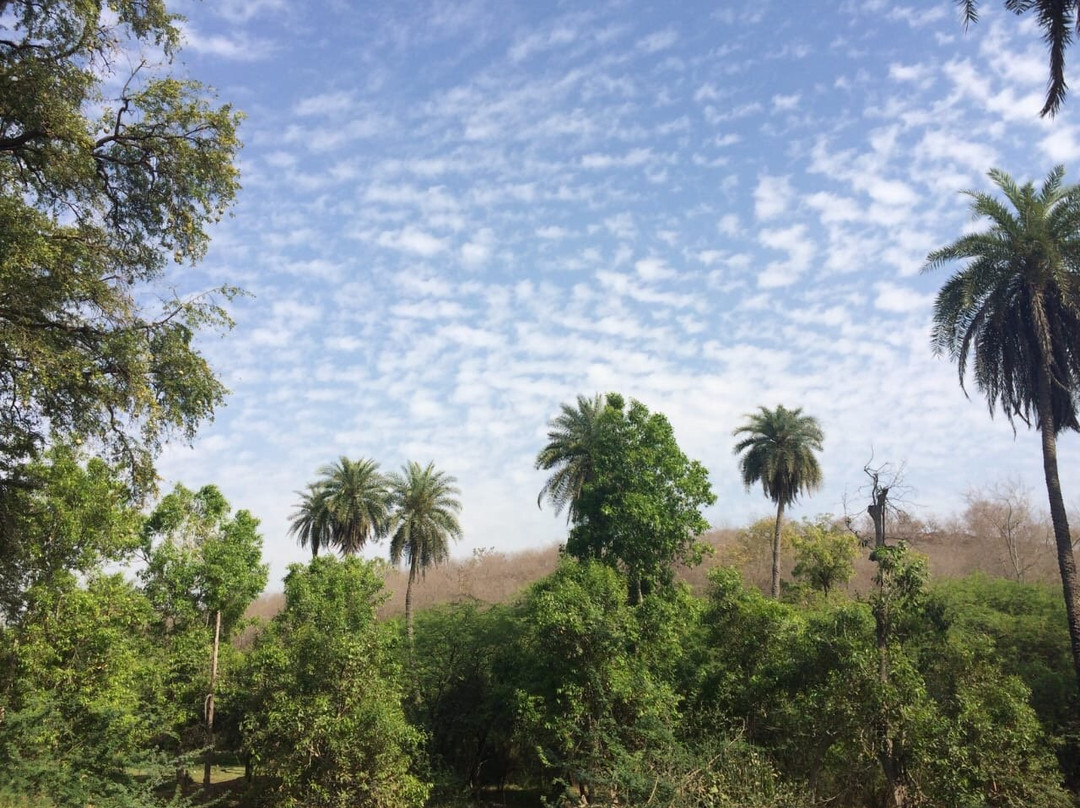 Dugari Fort景点图片