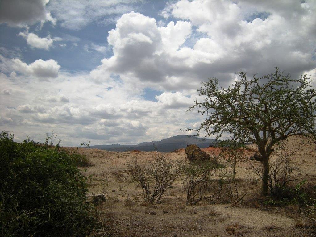 Olorgesailie Pre-Historic Site景点图片