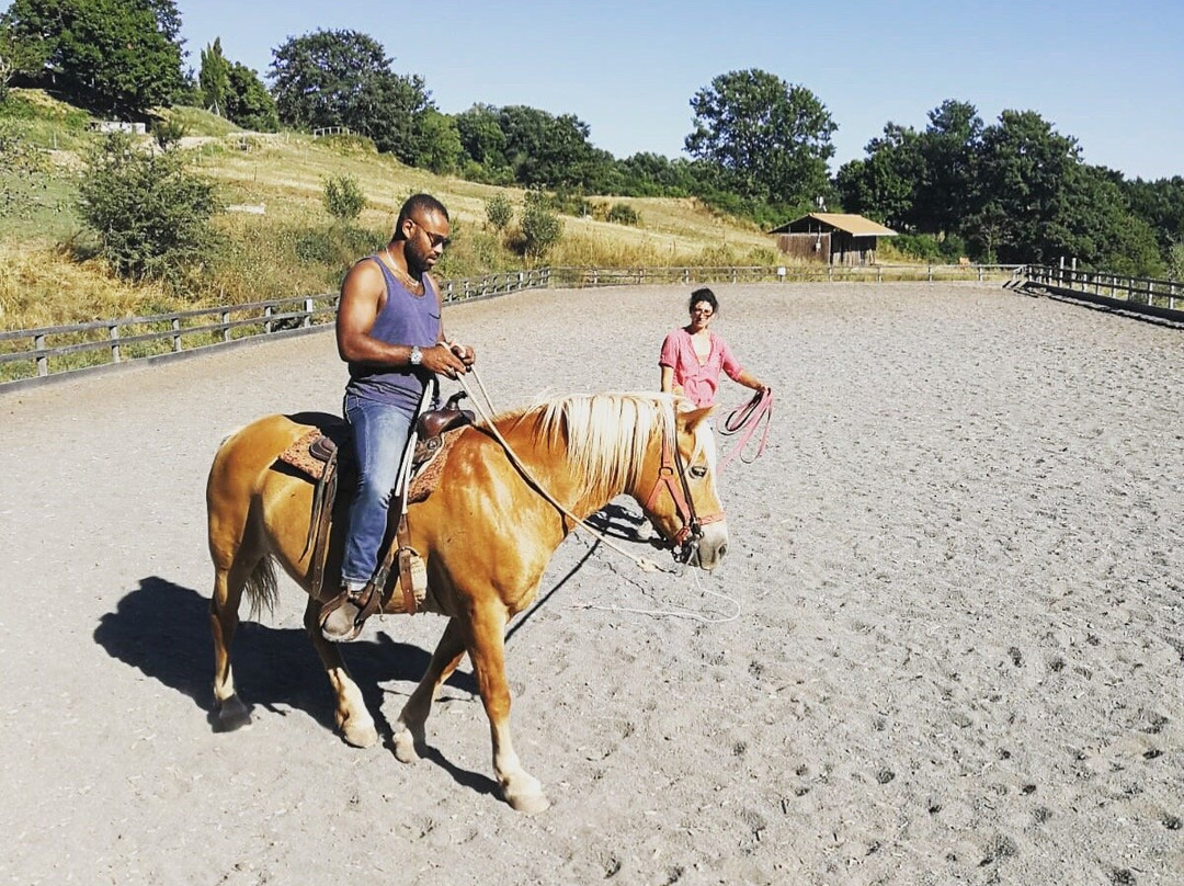 Castell'Azzara旅游攻略图片