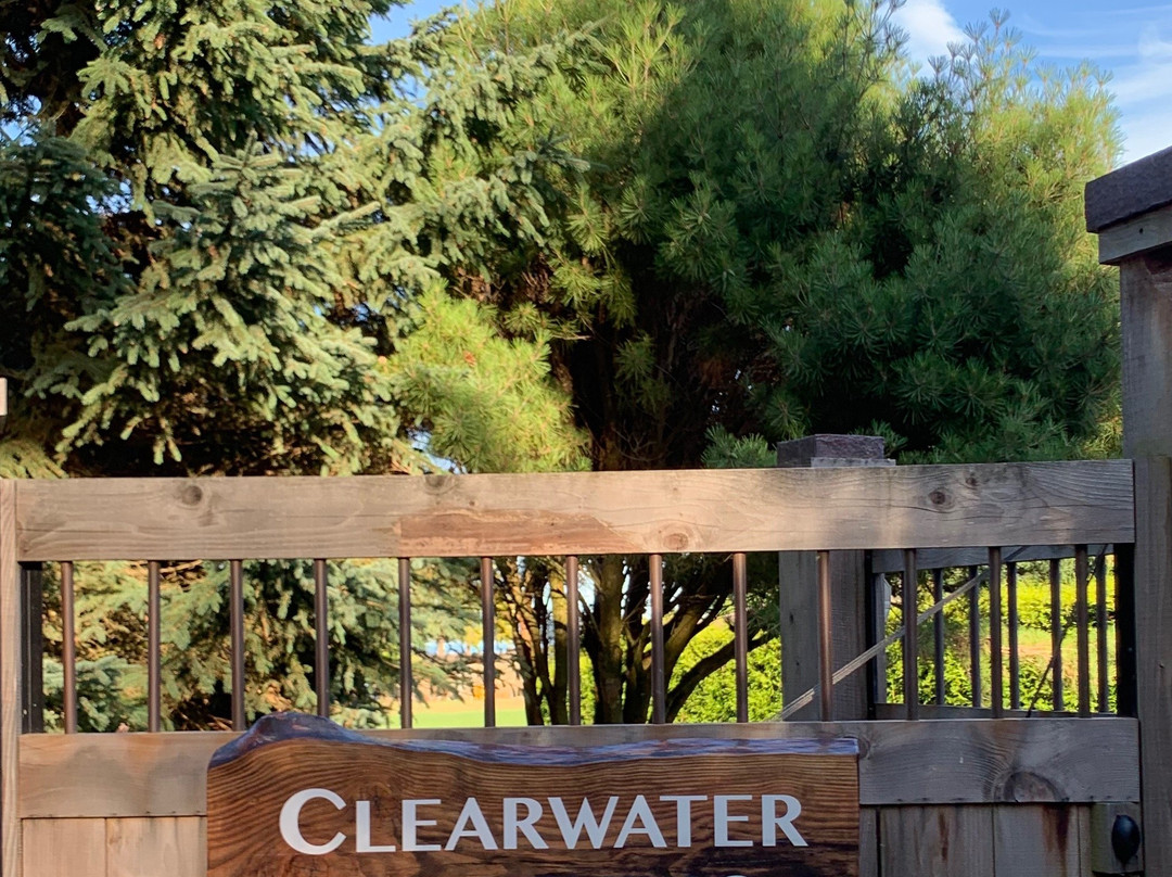 Clearwater Studio景点图片