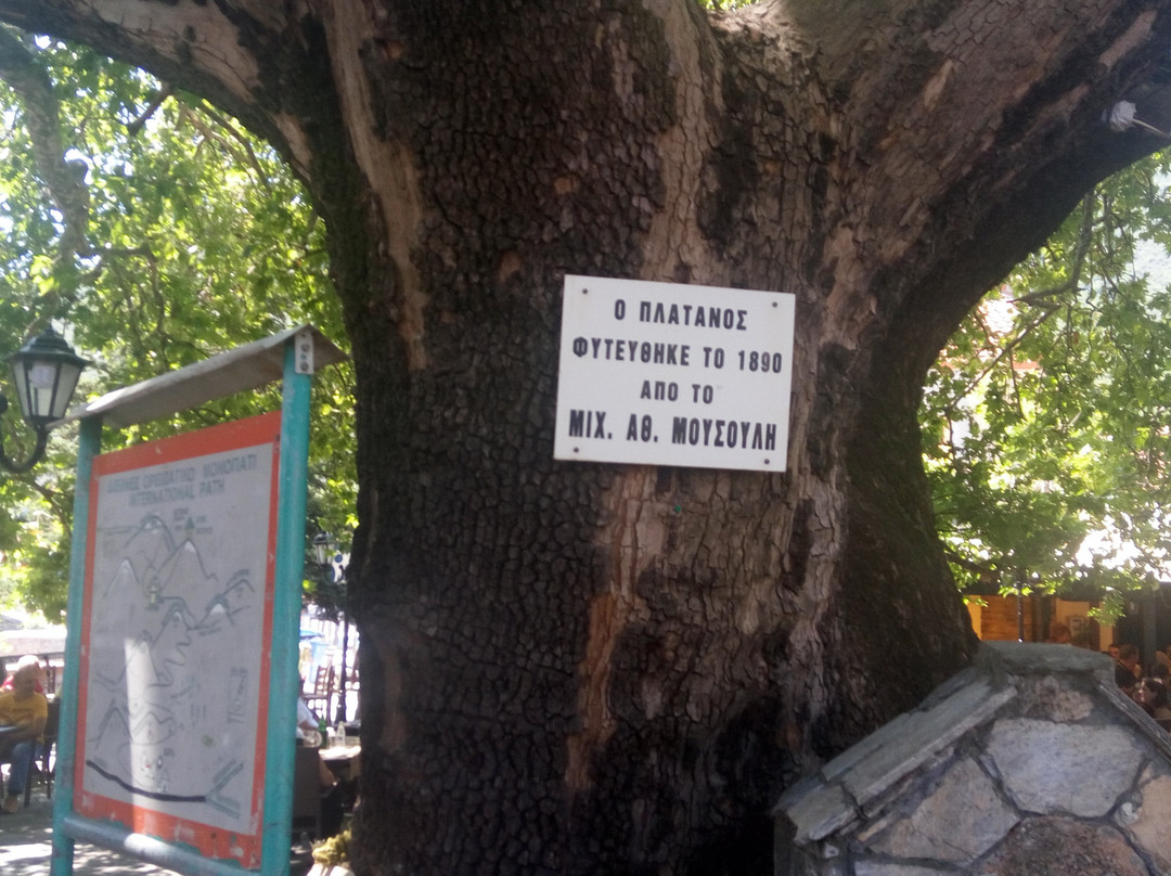 Karya旅游攻略图片