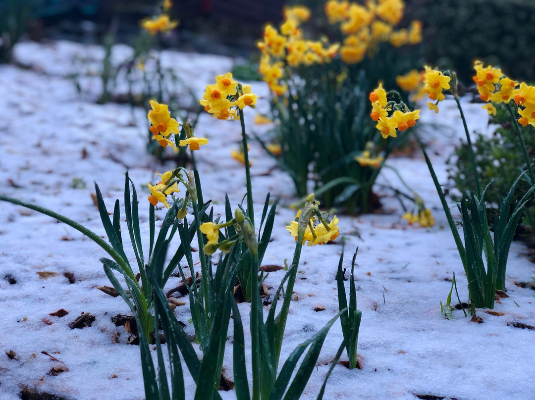 格瑞和酒店主图